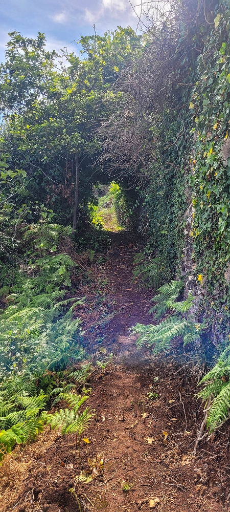 08.06.2024 Auf den Spuren der Trailrunner in Porto Moniz — On to the Miradouro do Pico — photo 6