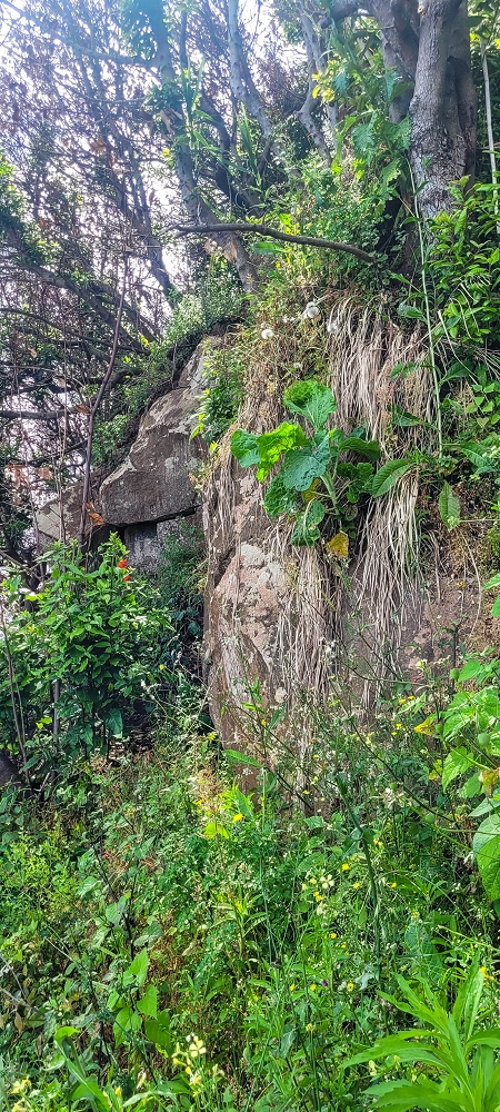 08.06.2024 Auf den Spuren der Trailrunner in Porto Moniz — On to the Miradouro do Pico — photo 9