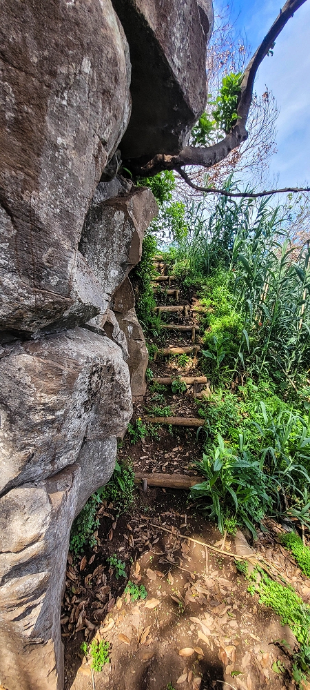 08.06.2024 Auf den Spuren der Trailrunner in Porto Moniz — On to the Miradouro do Pico — photo 11