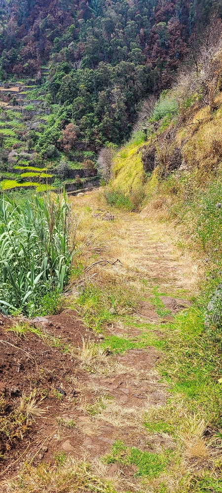 08.06.2024 Auf den Spuren der Trailrunner in Porto Moniz — CR23 — photo 1