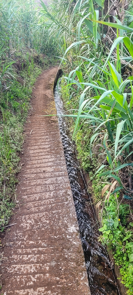 Levada dos Pombais sup. — Até ao Miradouro dos Pombais — foto 10