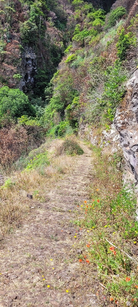 08.06.2024 Auf den Spuren der Trailrunner in Porto Moniz — CR23 — photo 5