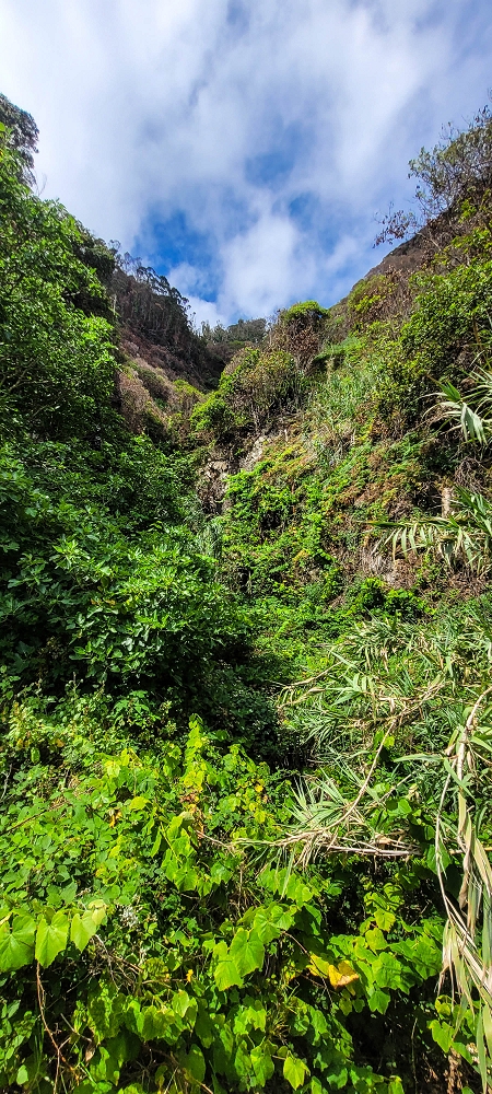 08.06.2024 Auf den Spuren der Trailrunner in Porto Moniz — CR23 — photo 6