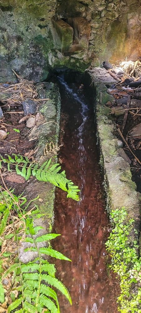 Levada das Fontes — Alte Wassermühle — Foto 2