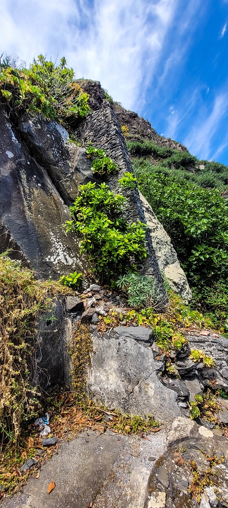Levada das Fontes — Alte Wassermühle — Foto 3