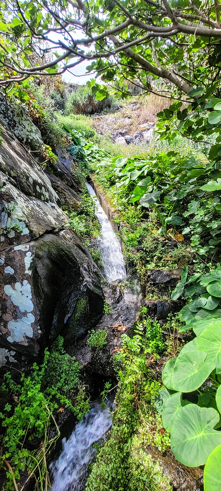 Levada das Fontes — Wasserfassung — Foto 1