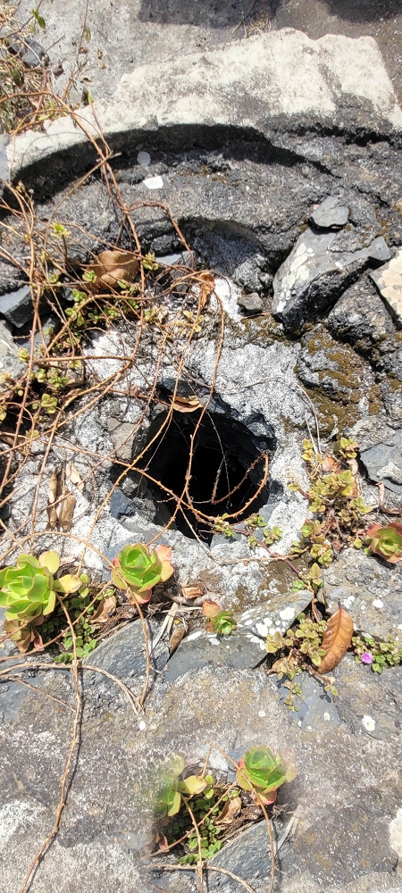 Levada das Fontes — Alte Wassermühle — Foto 6
