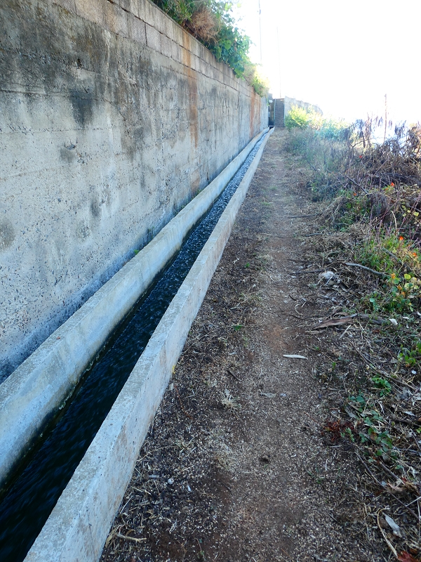8 July 2018 Circular walk via the Levada do Moinho da Serra, Cascata Madre de Agua, Levada dos Tornos and Levada Nova de Santa Cruz — As far as the turnoff of the Levada da Cafusa — photo 3