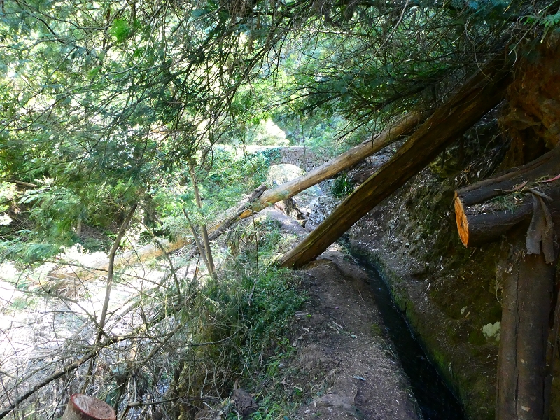 8 July 2018 Circular walk via the Levada do Moinho da Serra, Cascata Madre de Agua, Levada dos Tornos and Levada Nova de Santa Cruz — To the Madre of the Levada do Moinho da Serra at Ponta de Roma — photo 23