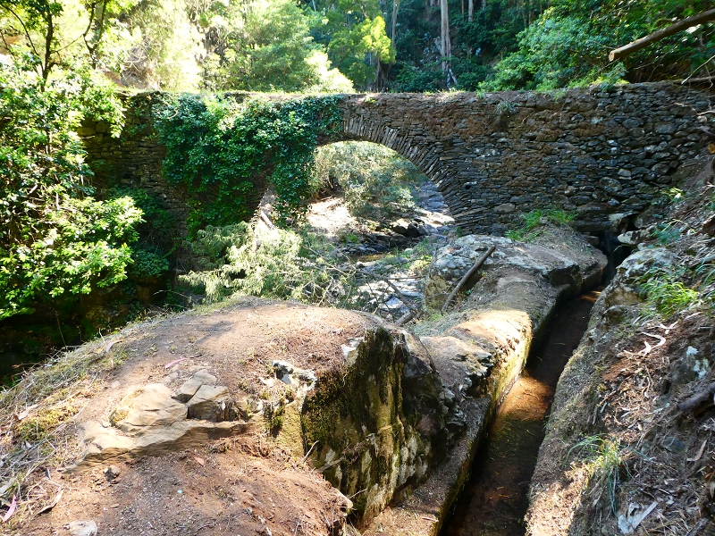 8 July 2018 Circular walk via the Levada do Moinho da Serra, Cascata Madre de Agua, Levada dos Tornos and Levada Nova de Santa Cruz — To the Madre of the Levada do Moinho da Serra at Ponta de Roma — photo 24