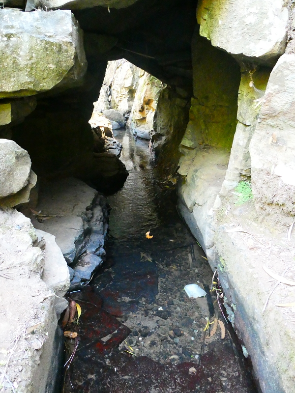 8 July 2018 Circular walk via the Levada do Moinho da Serra, Cascata Madre de Agua, Levada dos Tornos and Levada Nova de Santa Cruz — To the Madre of the Levada do Moinho da Serra at Ponta de Roma — photo 25