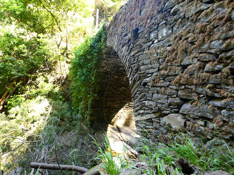 8 July 2018 Circular walk via the Levada do Moinho da Serra, Cascata Madre de Agua, Levada dos Tornos and Levada Nova de Santa Cruz — To the Madre of the Levada do Moinho da Serra at Ponta de Roma — photo 26