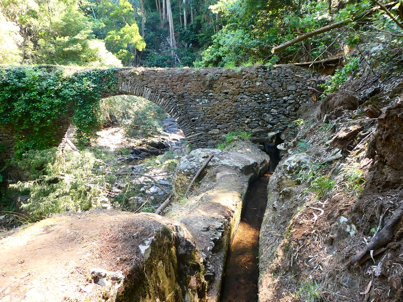 8 July 2018 Circular walk via the Levada do Moinho da Serra, Cascata Madre de Agua, Levada dos Tornos and Levada Nova de Santa Cruz — To the Madre of the Levada do Moinho da Serra at Ponta de Roma — photo 27