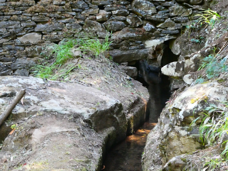 8 July 2018 Circular walk via the Levada do Moinho da Serra, Cascata Madre de Agua, Levada dos Tornos and Levada Nova de Santa Cruz — To the Madre of the Levada do Moinho da Serra at Ponta de Roma — photo 28