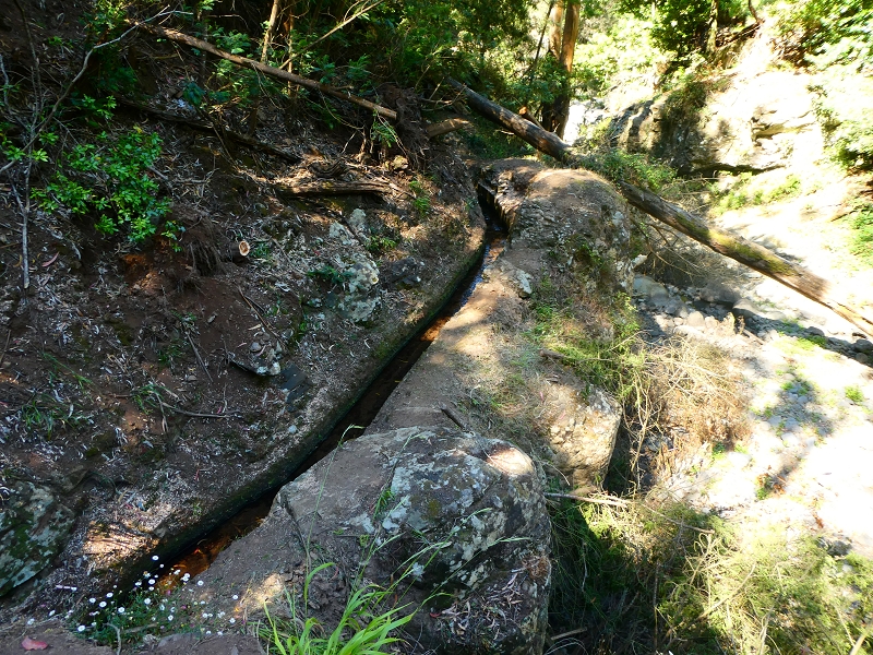 8 July 2018 Circular walk via the Levada do Moinho da Serra, Cascata Madre de Agua, Levada dos Tornos and Levada Nova de Santa Cruz — To the Madre of the Levada do Moinho da Serra at Ponta de Roma — photo 29