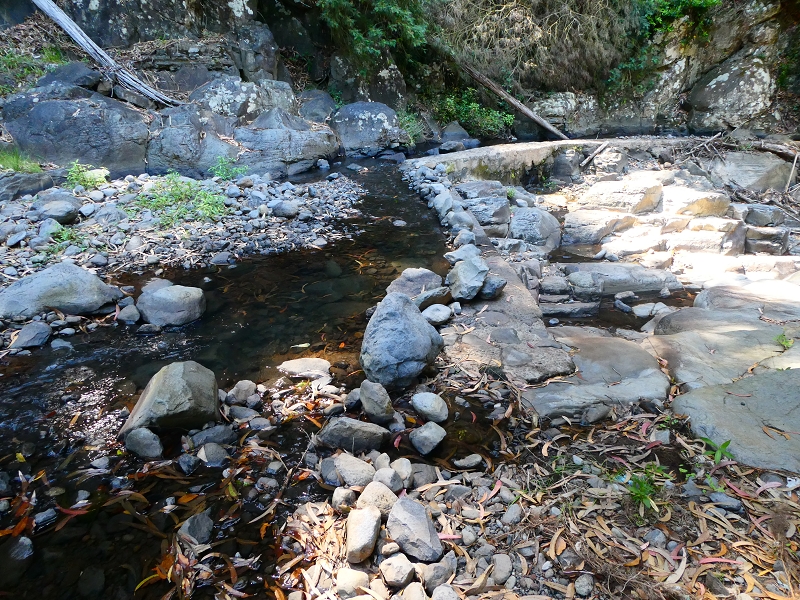 8 July 2018 Circular walk via the Levada do Moinho da Serra, Cascata Madre de Agua, Levada dos Tornos and Levada Nova de Santa Cruz — To the Madre of the Levada do Moinho da Serra at Ponta de Roma — photo 32