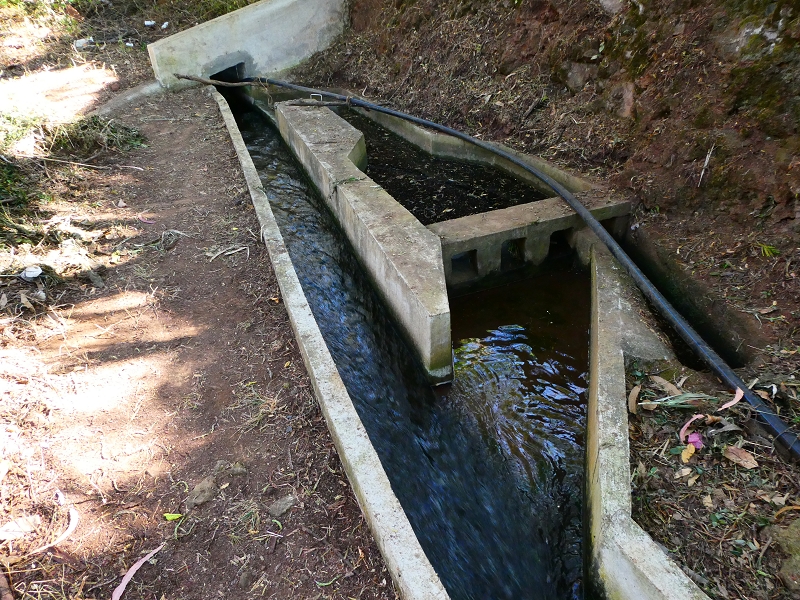 Levada do(s) Moinho(s) da Serra — Zum Ende des Hauptastes — Foto 2