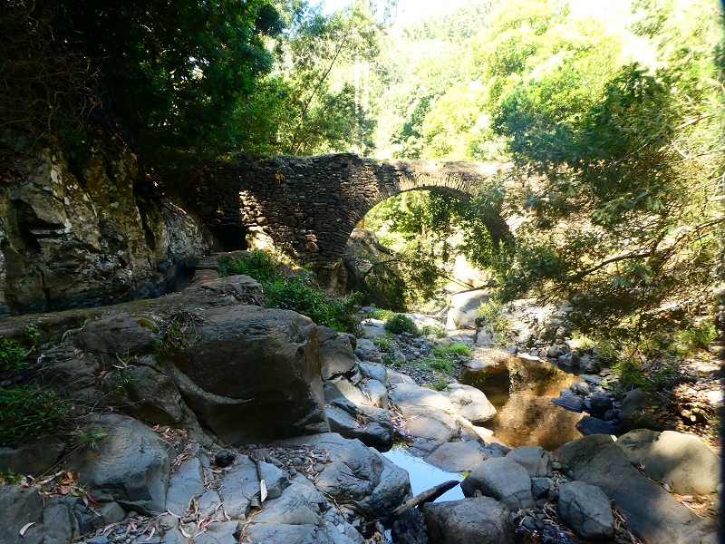 8 July 2018 Circular walk via the Levada do Moinho da Serra, Cascata Madre de Agua, Levada dos Tornos and Levada Nova de Santa Cruz — To the Madre of the Levada do Moinho da Serra at Ponta de Roma — photo 33