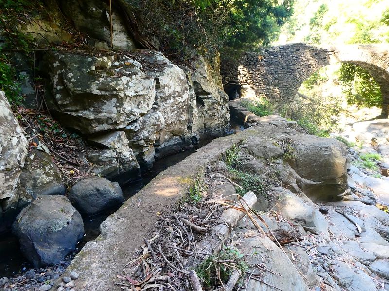 8 July 2018 Circular walk via the Levada do Moinho da Serra, Cascata Madre de Agua, Levada dos Tornos and Levada Nova de Santa Cruz — To the Madre of the Levada do Moinho da Serra at Ponta de Roma — photo 34