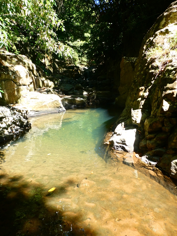 8 July 2018 Circular walk via the Levada do Moinho da Serra, Cascata Madre de Agua, Levada dos Tornos and Levada Nova de Santa Cruz — In the stream bed to the Cascata Madre de Agua — photo 2