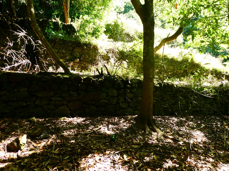 8 July 2018 Circular walk via the Levada do Moinho da Serra, Cascata Madre de Agua, Levada dos Tornos and Levada Nova de Santa Cruz — In the stream bed to the Cascata Madre de Agua — photo 3