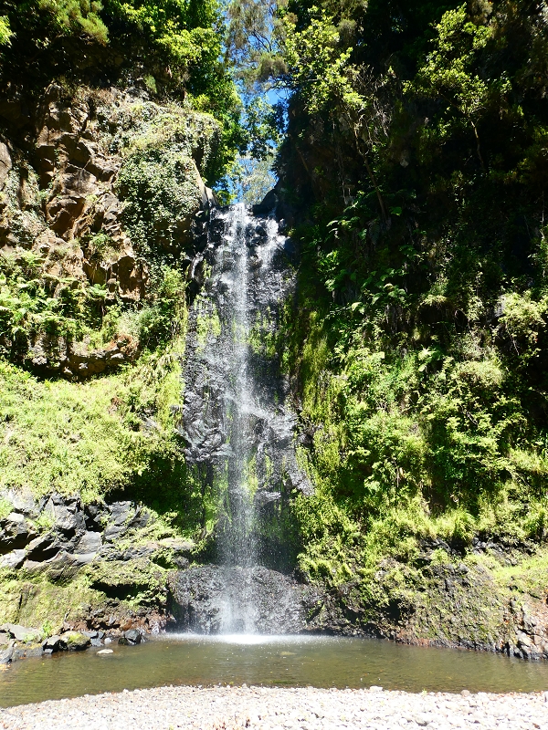 8 July 2018 Circular walk via the Levada do Moinho da Serra, Cascata Madre de Agua, Levada dos Tornos and Levada Nova de Santa Cruz — In the stream bed to the Cascata Madre de Agua — photo 5