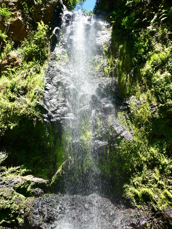 8 July 2018 Circular walk via the Levada do Moinho da Serra, Cascata Madre de Agua, Levada dos Tornos and Levada Nova de Santa Cruz — In the stream bed to the Cascata Madre de Agua — photo 6