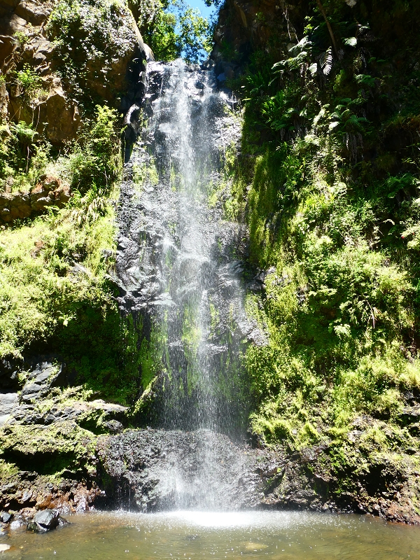 8 July 2018 Circular walk via the Levada do Moinho da Serra, Cascata Madre de Agua, Levada dos Tornos and Levada Nova de Santa Cruz — In the stream bed to the Cascata Madre de Agua — photo 7