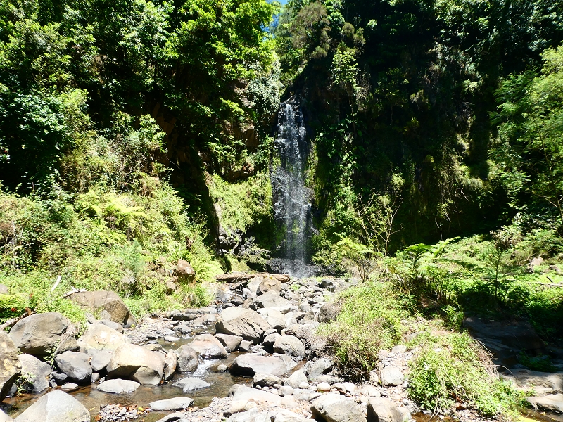 8 July 2018 Circular walk via the Levada do Moinho da Serra, Cascata Madre de Agua, Levada dos Tornos and Levada Nova de Santa Cruz — In the stream bed to the Cascata Madre de Agua — photo 8