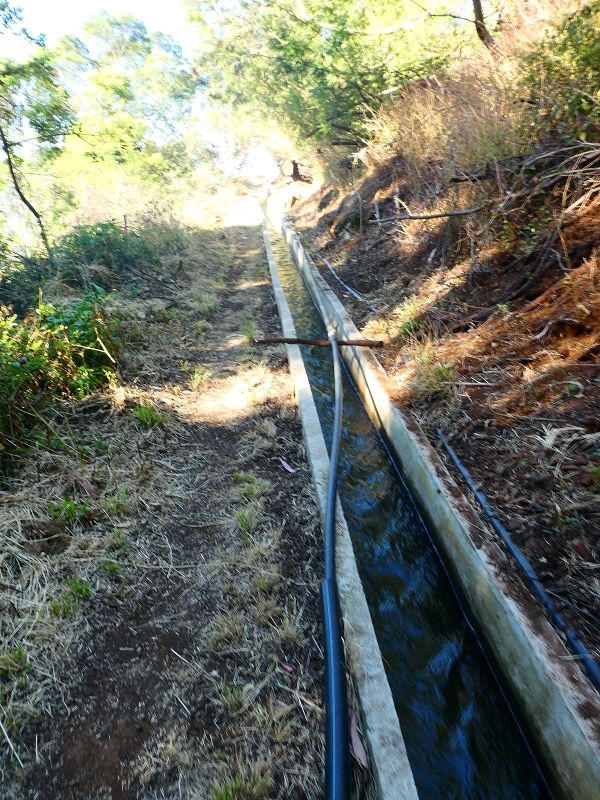 8 July 2018 Circular walk via the Levada do Moinho da Serra, Cascata Madre de Agua, Levada dos Tornos and Levada Nova de Santa Cruz — As far as the turnoff of the Levada da Cafusa — photo 5