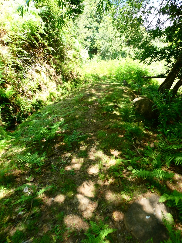 8 July 2018 Circular walk via the Levada do Moinho da Serra, Cascata Madre de Agua, Levada dos Tornos and Levada Nova de Santa Cruz — Climb to the end of the Levada dos Tornos — photo 3