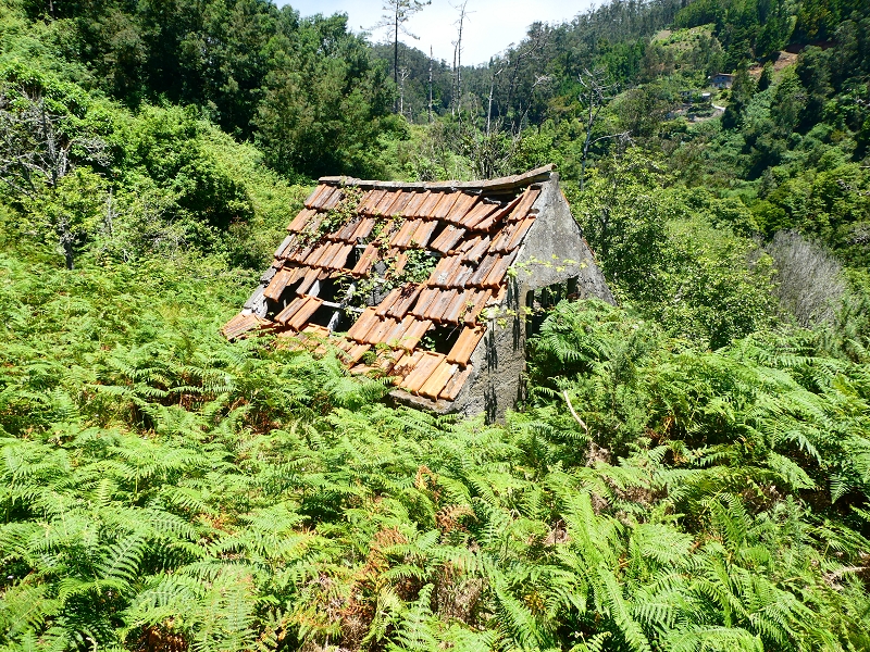 8 July 2018 Circular walk via the Levada do Moinho da Serra, Cascata Madre de Agua, Levada dos Tornos and Levada Nova de Santa Cruz — Climb to the end of the Levada dos Tornos — photo 4