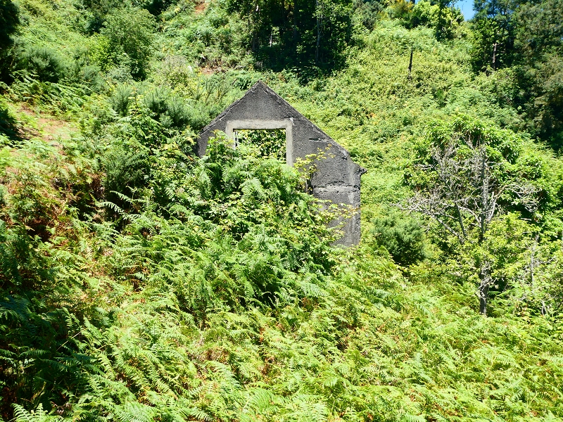 8 July 2018 Circular walk via the Levada do Moinho da Serra, Cascata Madre de Agua, Levada dos Tornos and Levada Nova de Santa Cruz — Climb to the end of the Levada dos Tornos — photo 5