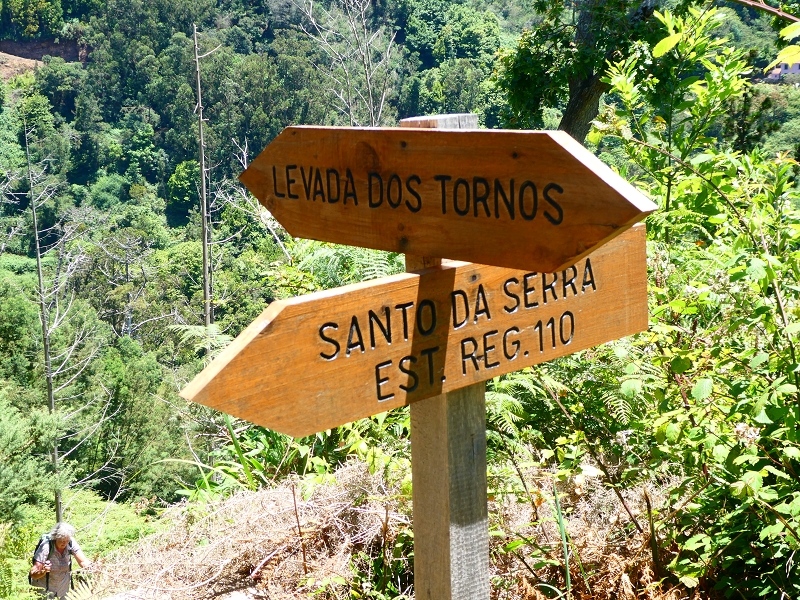 8 July 2018 Circular walk via the Levada do Moinho da Serra, Cascata Madre de Agua, Levada dos Tornos and Levada Nova de Santa Cruz — Climb to the end of the Levada dos Tornos — photo 6