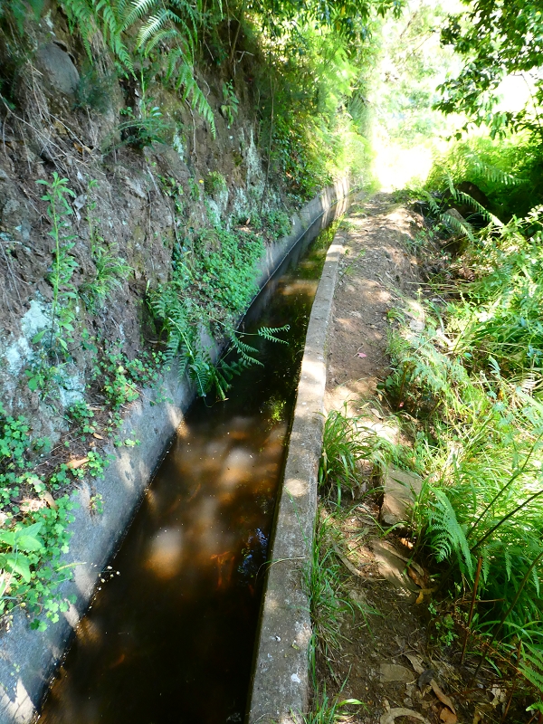 8 July 2018 Circular walk via the Levada do Moinho da Serra, Cascata Madre de Agua, Levada dos Tornos and Levada Nova de Santa Cruz — Climb to the end of the Levada dos Tornos — photo 8