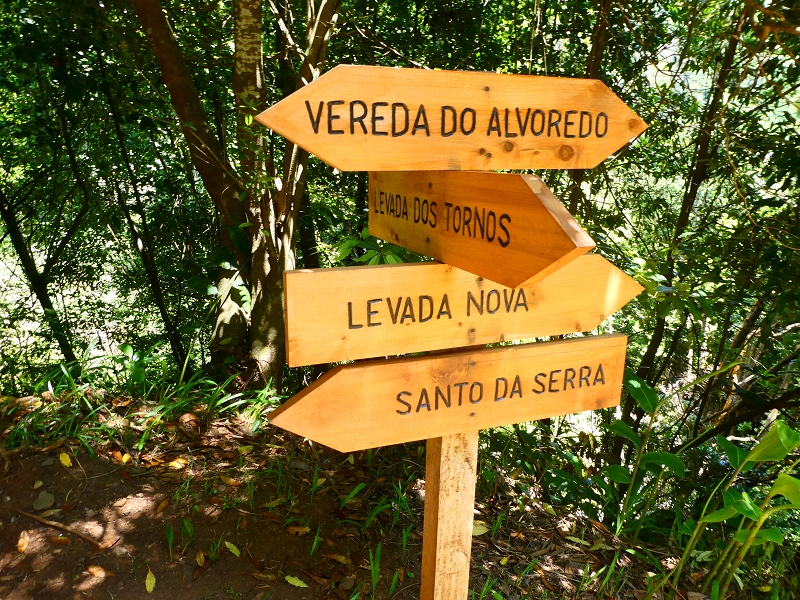 8 July 2018 Circular walk via the Levada do Moinho da Serra, Cascata Madre de Agua, Levada dos Tornos and Levada Nova de Santa Cruz — Descent to the Levada Nova — photo 1