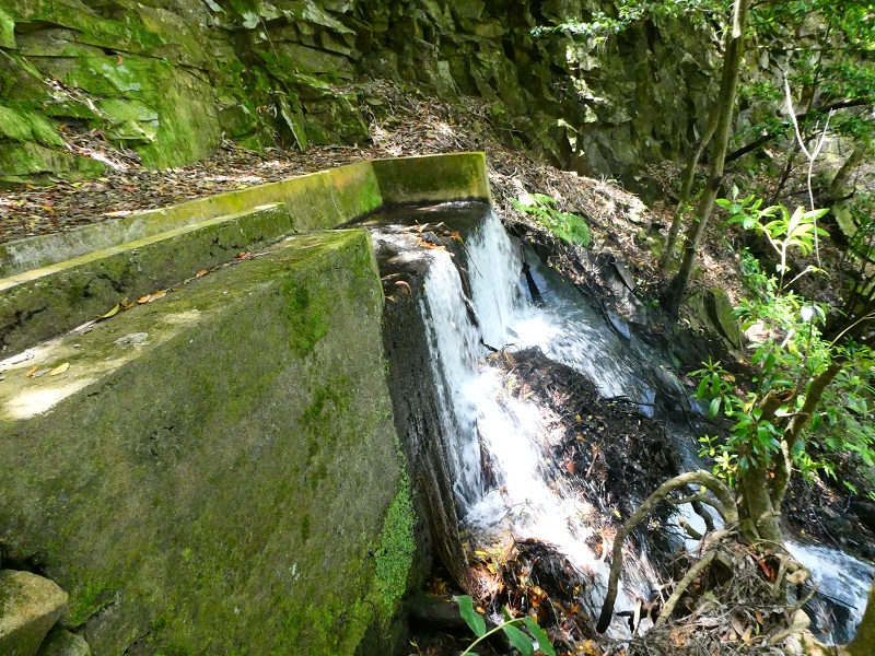 8 July 2018 Circular walk via the Levada do Moinho da Serra, Cascata Madre de Agua, Levada dos Tornos and Levada Nova de Santa Cruz — Climb to the end of the Levada dos Tornos — photo 10