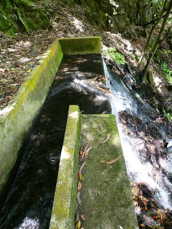 8 July 2018 Circular walk via the Levada do Moinho da Serra, Cascata Madre de Agua, Levada dos Tornos and Levada Nova de Santa Cruz — Climb to the end of the Levada dos Tornos — photo 11