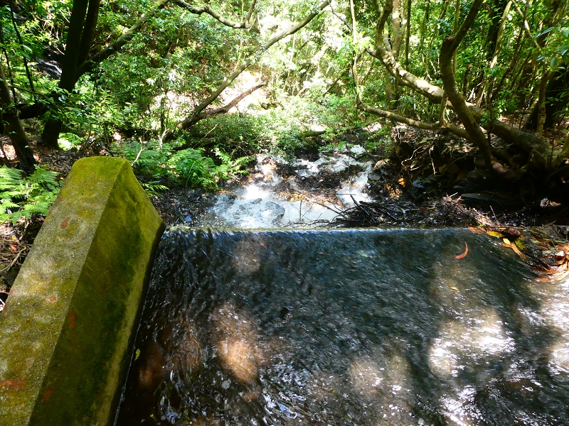 8 July 2018 Circular walk via the Levada do Moinho da Serra, Cascata Madre de Agua, Levada dos Tornos and Levada Nova de Santa Cruz — Climb to the end of the Levada dos Tornos — photo 12