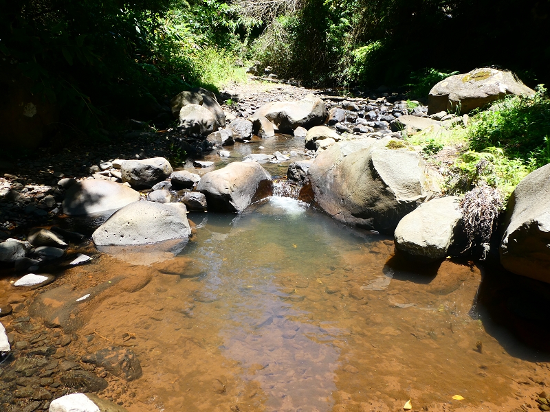 Levada Nova — Die ersten Meter bis zur Abzweigung des Weges zur Levada dos Tornos — Foto 4