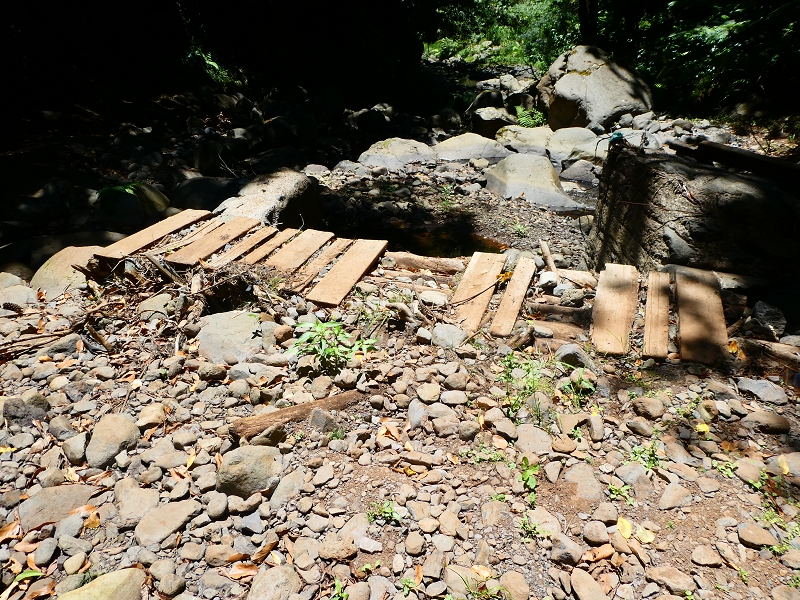 Levada Nova — Die ersten Meter bis zur Abzweigung des Weges zur Levada dos Tornos — Foto 5
