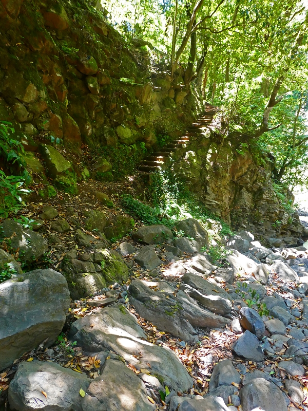 Levada Nova — Die ersten Meter bis zur Abzweigung des Weges zur Levada dos Tornos — Foto 2