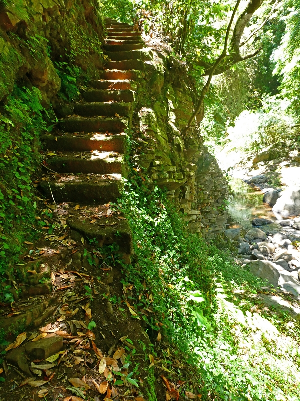 Levada Nova — Die ersten Meter bis zur Abzweigung des Weges zur Levada dos Tornos — Foto 3