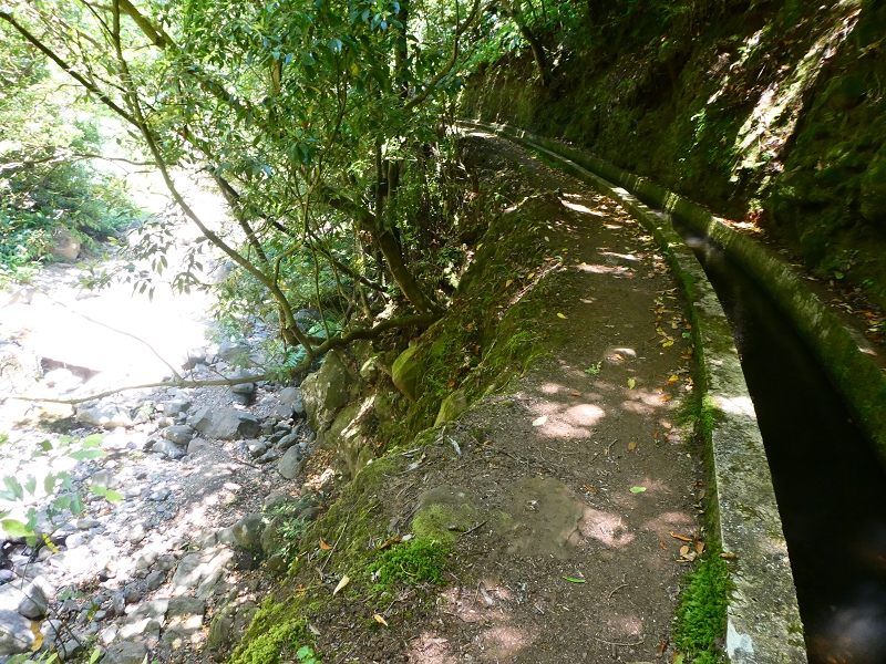8 July 2018 Circular walk via the Levada do Moinho da Serra, Cascata Madre de Agua, Levada dos Tornos and Levada Nova de Santa Cruz — To the Madre and the waterfalls beyond the Madre of the Levada Nova — photo 1