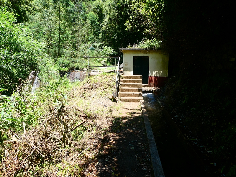 Levada Nova — Die Madre — Foto 3