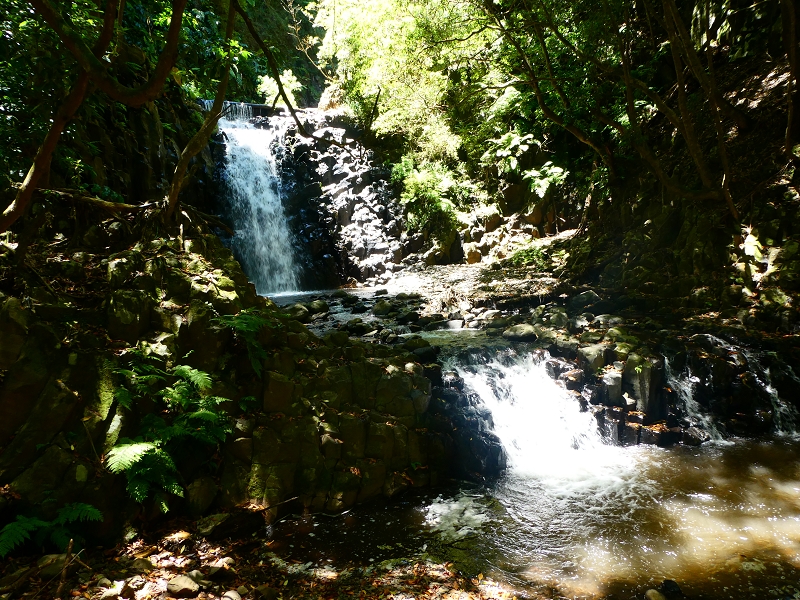 8 July 2018 Circular walk via the Levada do Moinho da Serra, Cascata Madre de Agua, Levada dos Tornos and Levada Nova de Santa Cruz — To the Madre and the waterfalls beyond the Madre of the Levada Nova — photo 4