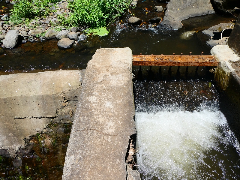 Levada Nova — Die Madre — Foto 1