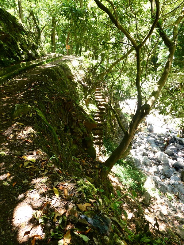 8 July 2018 Circular walk via the Levada do Moinho da Serra, Cascata Madre de Agua, Levada dos Tornos and Levada Nova de Santa Cruz — Descent to the Levada Nova — photo 6