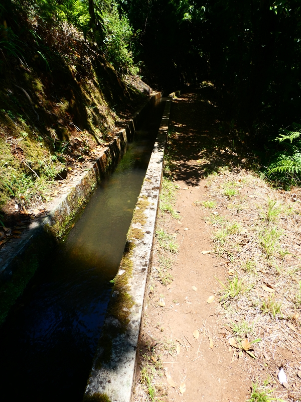 Levada Nova — Die ersten Meter bis zur Abzweigung des Weges zur Levada dos Tornos — Foto 1