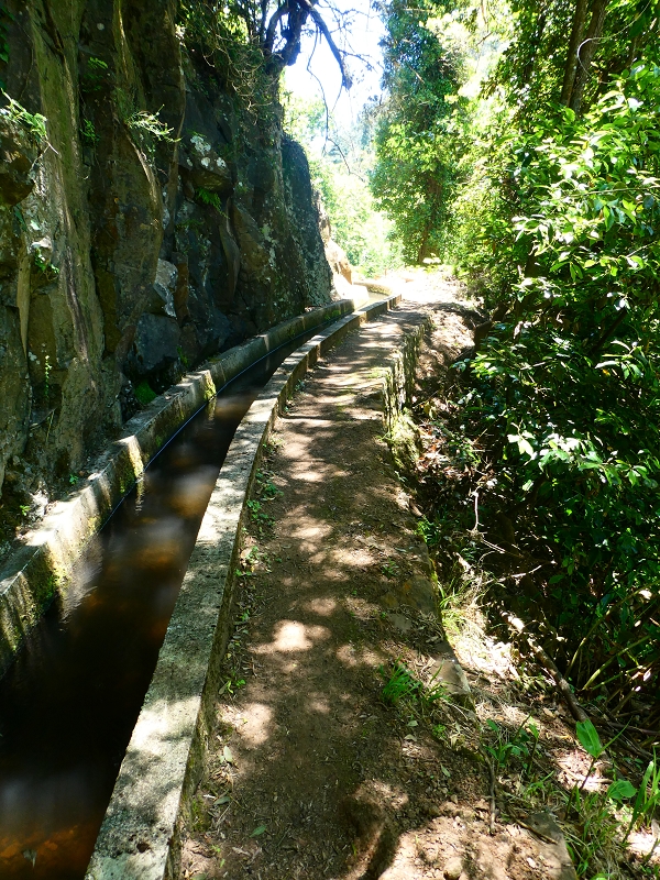 8 July 2018 Circular walk via the Levada do Moinho da Serra, Cascata Madre de Agua, Levada dos Tornos and Levada Nova de Santa Cruz — On the Levada Nova as far as the 1st large water divider — photo 3